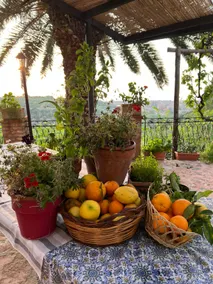 Sicily Authentic Vibration Eighteenth-Century Farm with Panoramic Sea Views - Image 5
