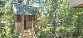 Lake Home & Treehouse ❤ Seneca Treehouse Project - Image 3
