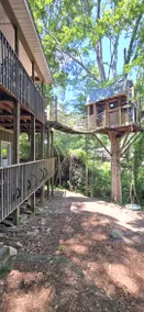 Lake Home & Treehouse ❤ Seneca Treehouse Project - Image 5