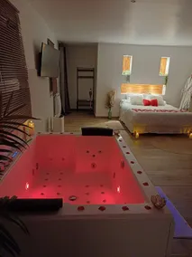 Luxury cocooning suite Private Spa 20 min Paris - Image 5