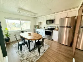 Welcome to Rabbit’s Hollow (Our Dog) - Image 5