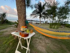 Secret Beach · Oceanfront House · Tuxpan - Image 2