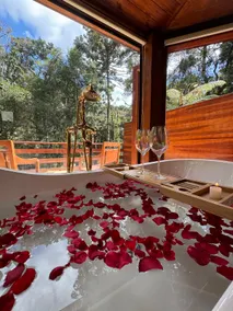 Chalet with bathtub and fireplace in Monte Verde - Image 2
