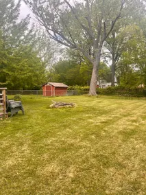 Relaxing 3 Bedroom Cottage in Quiet Neighborhood - Image 3