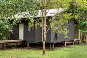 Nature-Chic Studio Stay (Koalas Not Included) - Image 4