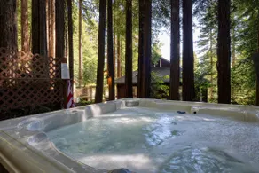 Wanderwood ~Craftsman Retreat in the Redwoods - Image 3