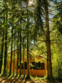 Charming cottage in a natural, forest setting with absolute calm - Image 2