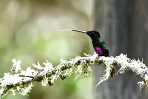 El Tibar, nature and relaxation - Image 5