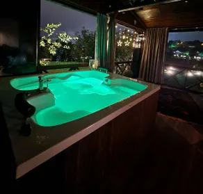 Sapanca vineyard house® Heated Pool and Jacuzzi - Image 2