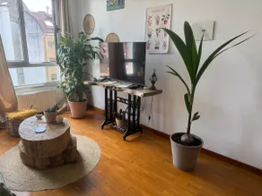 Cozy, nice and relaxing apartment. - Image 5
