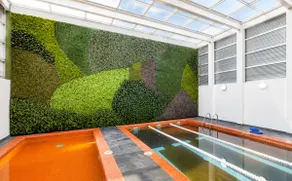 Panoramic View 2BR 2BT - Pool, Gym, Paddle, Sauna - Image 5
