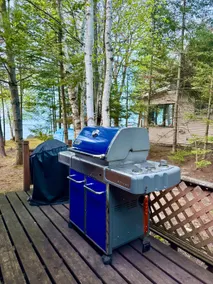 Waterfront on Lake Huron- NEW Kitchen & Bathroom - Image 5