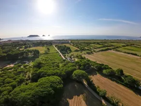 Mas Tamariu. Eco house on the beach. Illes Medes - Image 2