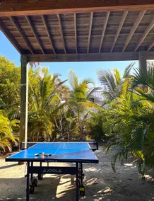FALL DISCOUNT*Golf Cart|Pool|Paddleboards|PingPong - Image 3