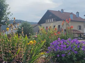the Vosges style - Image 2