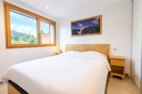 Panoramic view · Portes du Soleil skiing · Swimming pool - Image 4