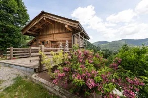 Chalet "Le Cocoonid" - Bain Nordique - Sauna - Image 3