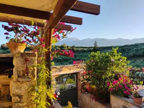 Villa Eleni the traditional side of Crete - Image 2