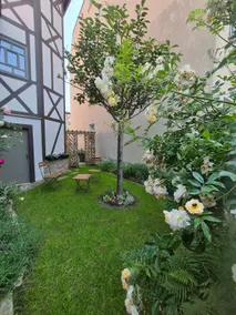 Late Gothic house from 1519 - Image 3