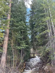 Breckenridge retreat by the creek - Image 4