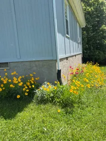 Meadow Farm-View Getaway - Image 3