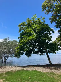 Osa Azul Oceanfront House - Image 4