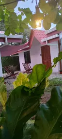 Osa Azul Oceanfront House - Image 5