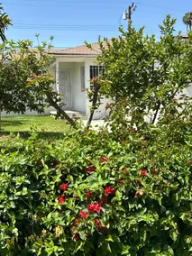 Bright Bliss Retreat - Image 3