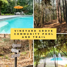 Magical wooded cottage pool +priv hottub walk2town - Image 5