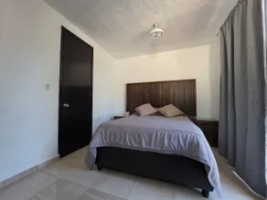 Loft in Xochimilco close to the trajineras - Image 3