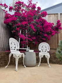 The Nest - Berry - self contained garden apartment - Image 3