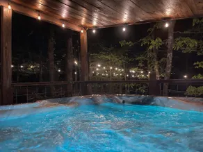 Modern Farmhouse Cabin | Hot Tub | Dog-Friendly - Image 4