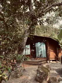 Olive chalet to connect, enjoy and love! - Image 2