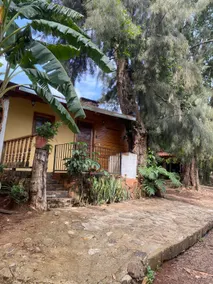 LOS PAVOS CABIN - Image 4