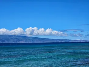 Stunning! Oceanfront! Remodeled! Spring Specials! - Image 3