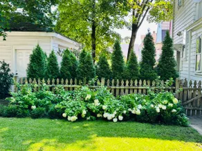 Historic Colonial - Close to Downtown! - Image 4