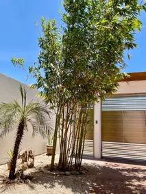 Nice and comfortable smart house with a pool. - Image 5