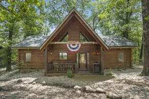 Cabin Near Big Cedar w Hot Tub & Free Tickets - Image 3