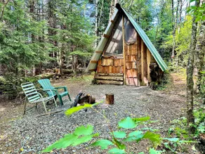 ”Alder Grove” Cabin in the Woods, Off-grid - Image 4
