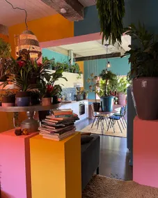 Plantkot, a cozy apartment full of plants - Image 2