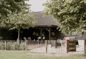 Nature cottage Het Steenuiltje in a beautiful place - Image 3