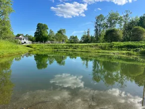 Farmhouse with a Private Pond - Image 2