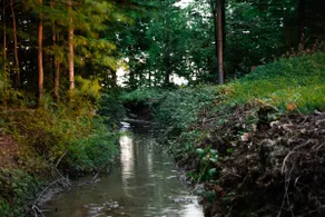 Luxury Cabin on a Creek bank with Hot tub. - Image 4