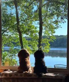 Amazing views, Sauna, fireplace, and lake toys - Image 5