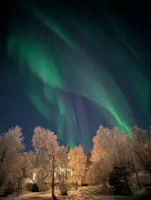 Cabin magic on Senja, atmosphere like a fairytale - Image 2