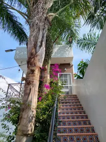 Morelos! Bougainvilleas. Heated pool. - Image 2