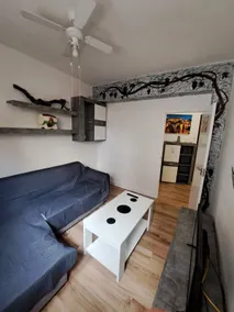 Downtown, garage, Wi-Fi, sofa and new visco mattresses - Image 2