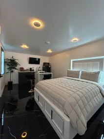 Caviar Suite Near USF/Busch Gardens - Image 2