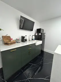 Caviar Suite Near USF/Busch Gardens - Image 4