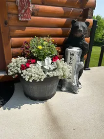 ParadisePeak Hummingbird Cabin with indoor Jacuzzi in the heart of Amish Country - Image 3